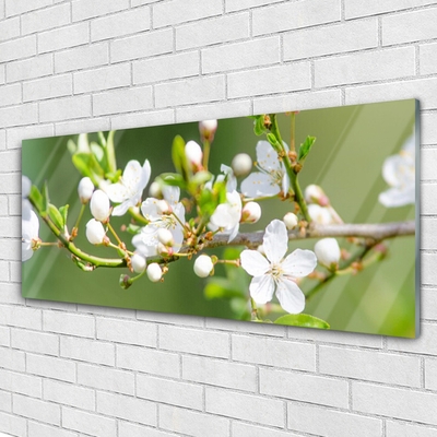 Glass Wall Art Branches flowers floral green white