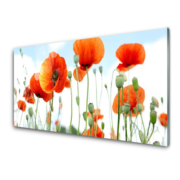 Glass Wall Art Poppies floral red