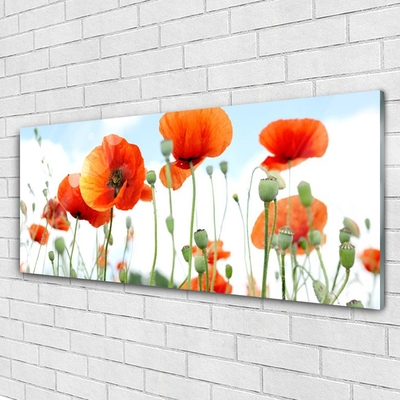 Glass Wall Art Poppies floral red