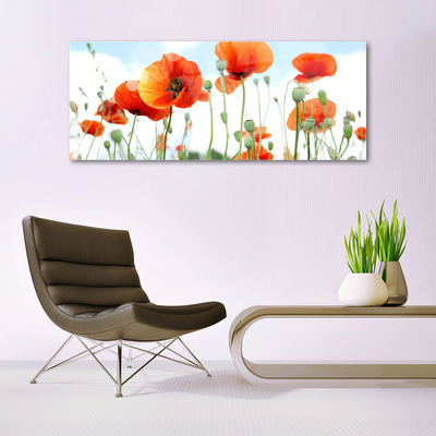 Glass Wall Art Poppies floral red