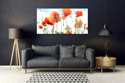 Glass Wall Art Poppies floral red