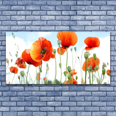 Glass Wall Art Poppies floral red