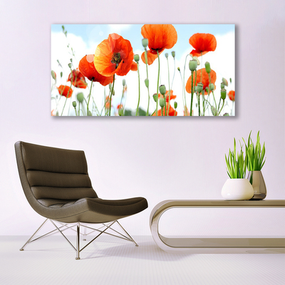 Glass Wall Art Poppies floral red