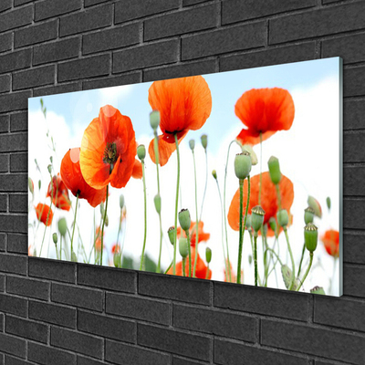 Glass Wall Art Poppies floral red