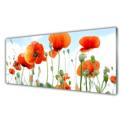 Glass Wall Art Poppies floral red