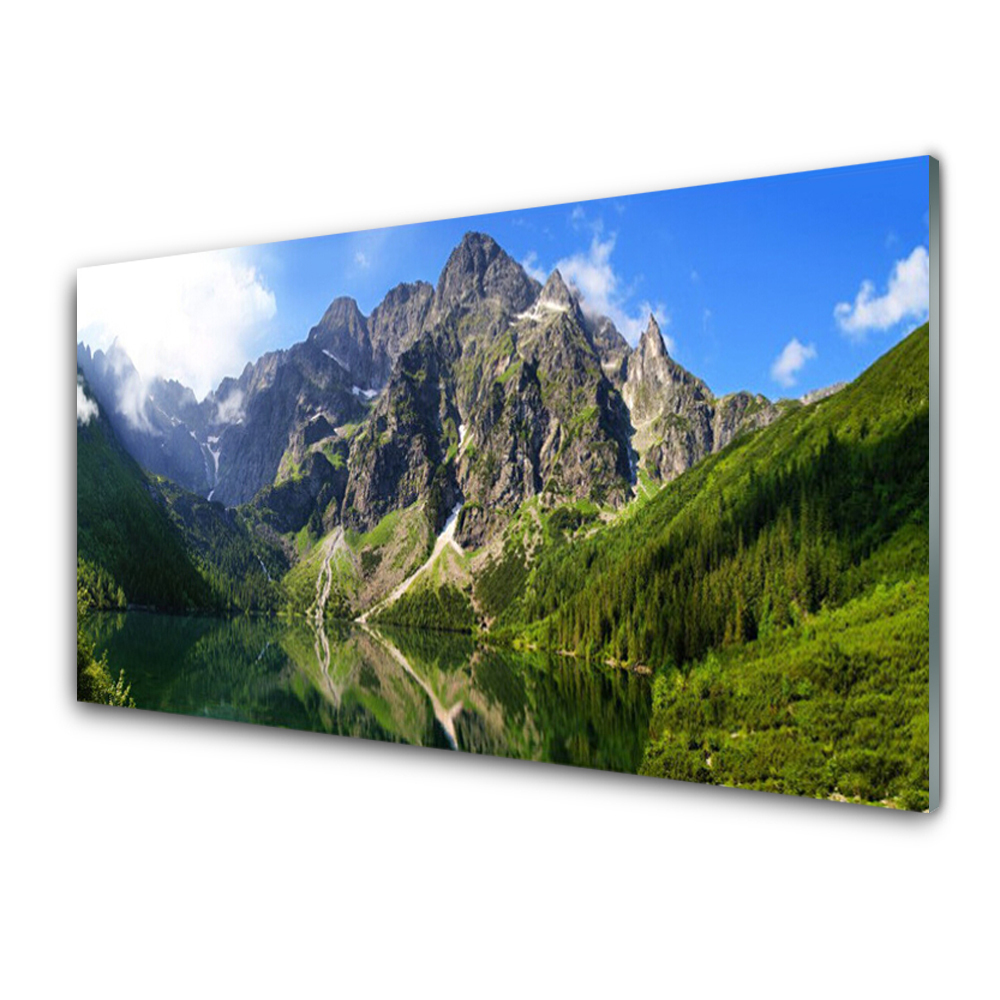 Glass Wall Art Mountain lake nature grey green - Tulupdecor.com