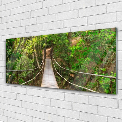 Glass Wall Art Bridge forest nature brown green