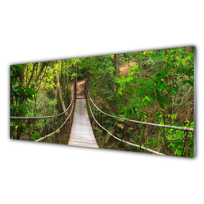 Glass Wall Art Bridge forest nature brown green