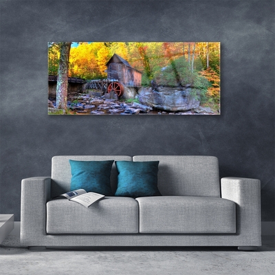 Glass Wall Art Forest stones nature grey brown green yellow