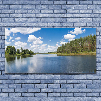 Glass Wall Art Forest lake landscape green blue