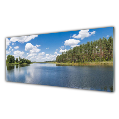 Glass Wall Art Forest lake landscape green blue