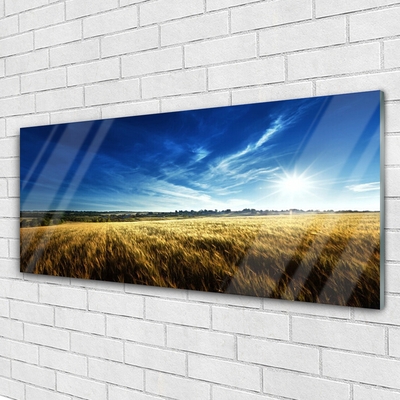 Glass Wall Art Field sky nature yellow blue white