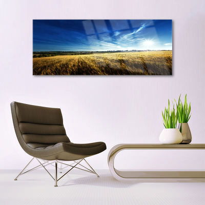 Glass Wall Art Field sky nature yellow blue white