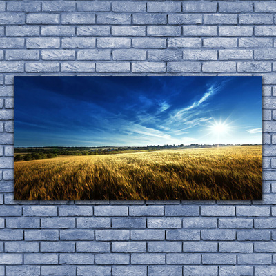 Glass Wall Art Field sky nature yellow blue white