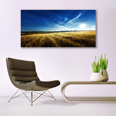 Glass Wall Art Field sky nature yellow blue white