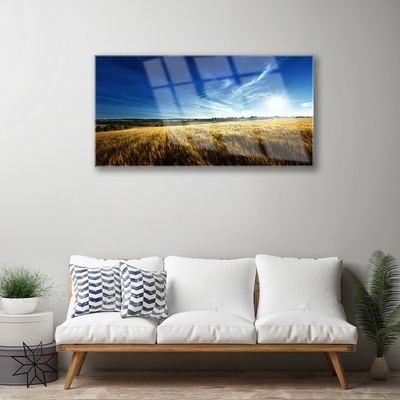 Glass Wall Art Field sky nature yellow blue white