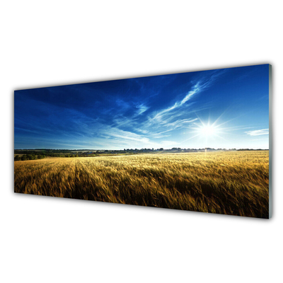 Glass Wall Art Field sky nature yellow blue white