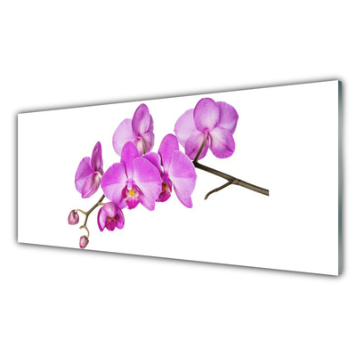 Glass Wall Art Flowers floral pink