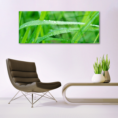 Glass Wall Art Grass nature green