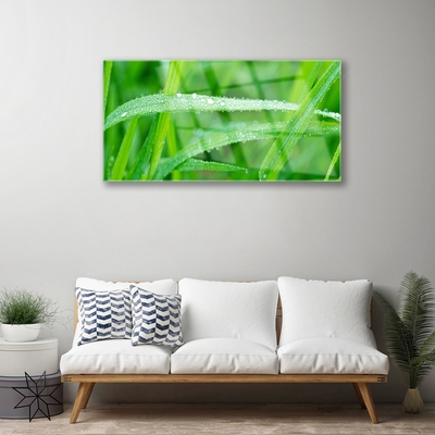 Glass Wall Art Grass nature green