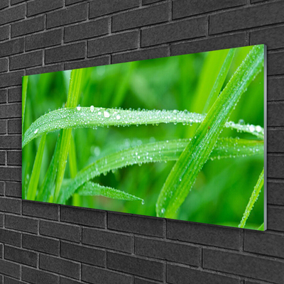 Glass Wall Art Grass nature green