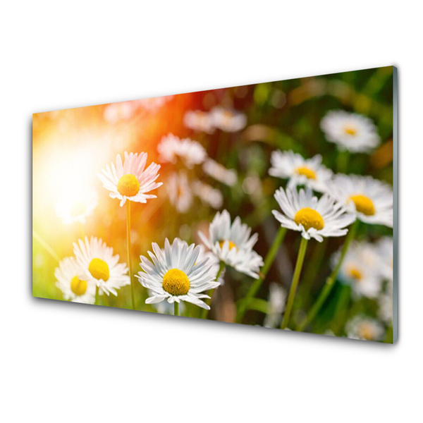 Glass Wall Art Daisy floral yellow white green