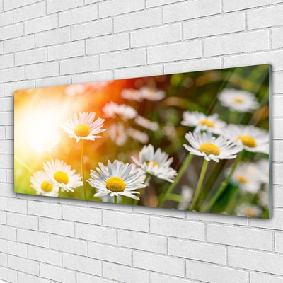 Glass Wall Art Daisy floral yellow white green