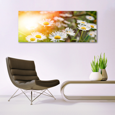 Glass Wall Art Daisy floral yellow white green