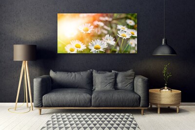 Glass Wall Art Daisy floral yellow white green