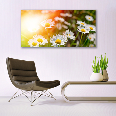 Glass Wall Art Daisy floral yellow white green