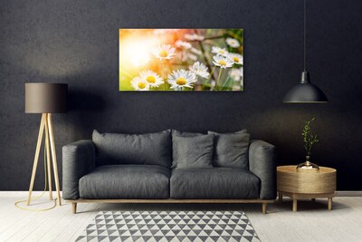 Glass Wall Art Daisy floral yellow white green