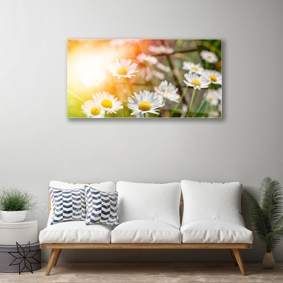 Glass Wall Art Daisy floral yellow white green