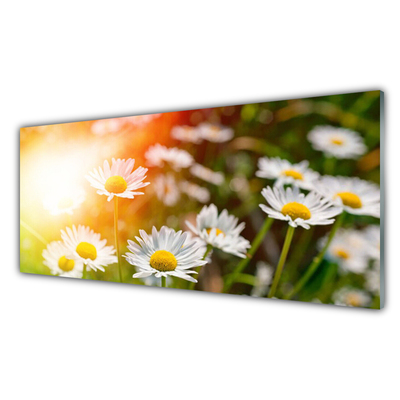 Glass Wall Art Daisy floral yellow white green