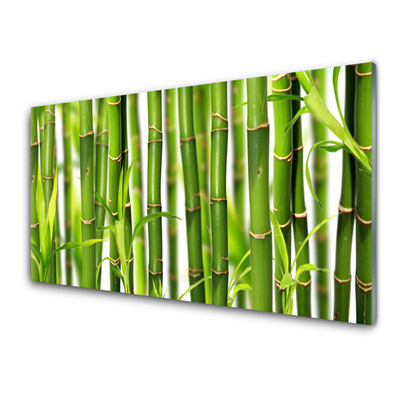 Glass Wall Art Bamboo stalks floral green