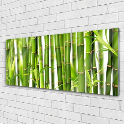 Glass Wall Art Bamboo stalks floral green