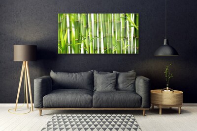 Glass Wall Art Bamboo stalks floral green