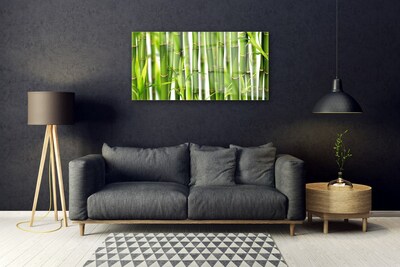 Glass Wall Art Bamboo stalks floral green