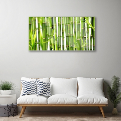 Glass Wall Art Bamboo stalks floral green