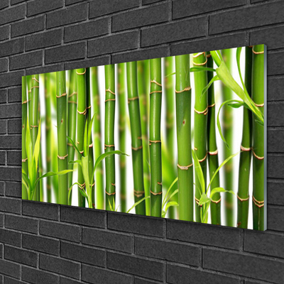 Glass Wall Art Bamboo stalks floral green