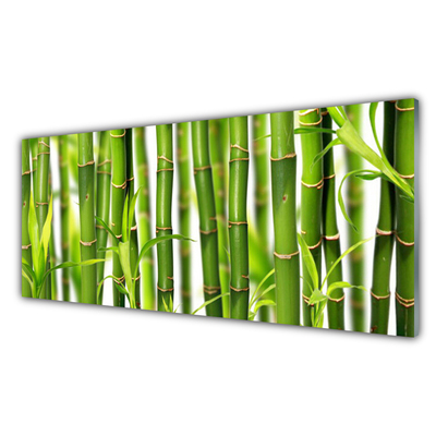 Glass Wall Art Bamboo stalks floral green