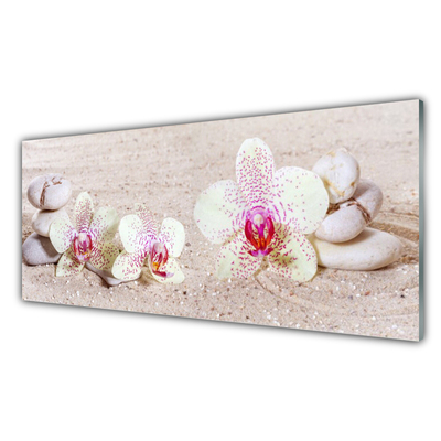 Glass Wall Art Flower stones floral white