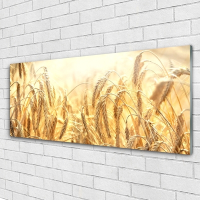 Glass Wall Art Wheat floral yellow