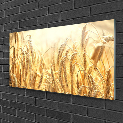 Glass Wall Art Wheat floral yellow