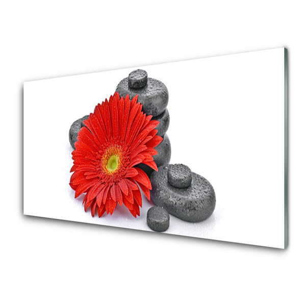 Glass Wall Art Flower stones floral red grey