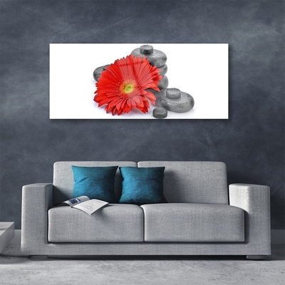 Glass Wall Art Flower stones floral red grey