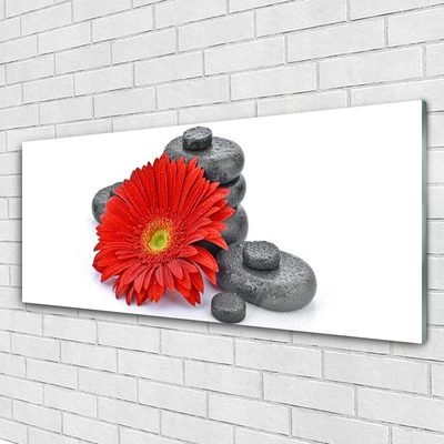 Glass Wall Art Flower stones floral red grey