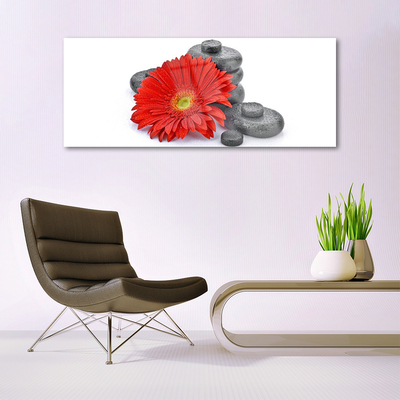 Glass Wall Art Flower stones floral red grey