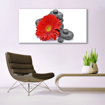 Glass Wall Art Flower stones floral red grey