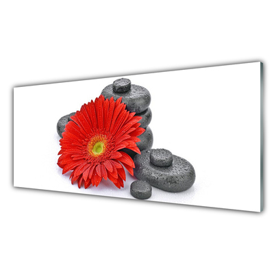 Glass Wall Art Flower stones floral red grey