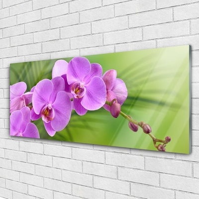Glass Wall Art Flowers houses pink